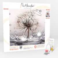 Lesen Picmondoo GmbH Bewertungen